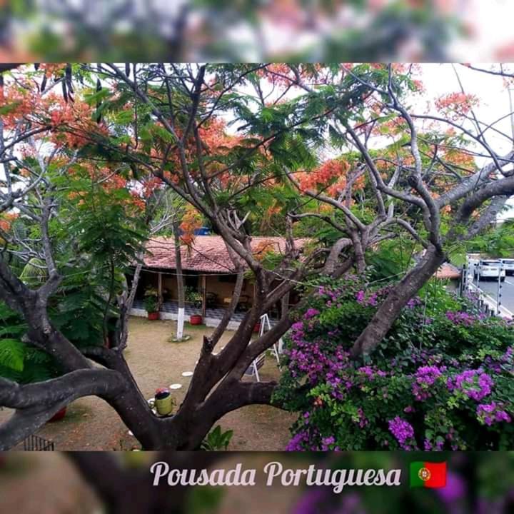 Portuguesa Inn *